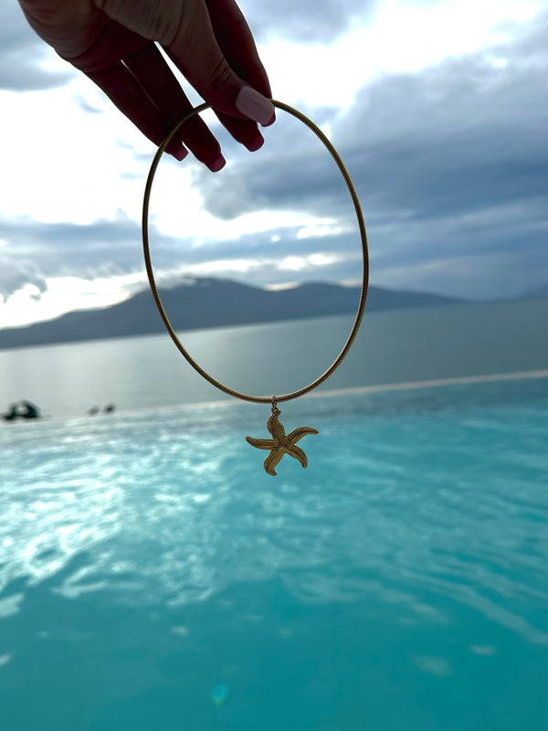 Collier étoile de mer🌊